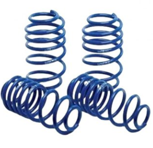 Lowering Springs