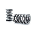Valve Springs and Kits