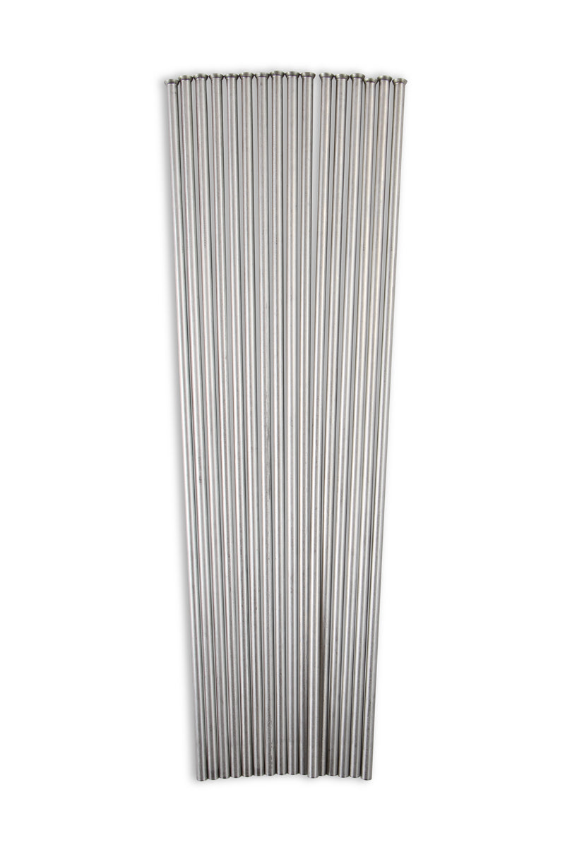 02464nos_18.jpg