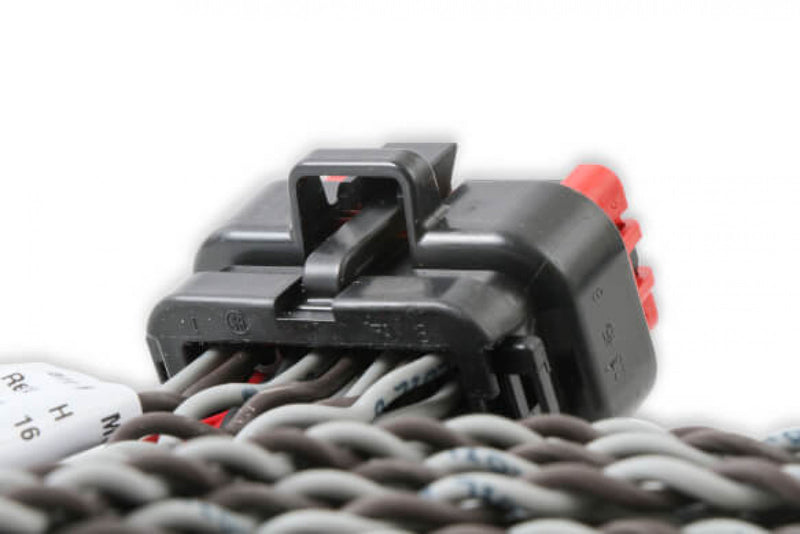 MSD Coil Harness - Pro 600