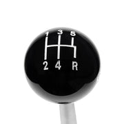 45206_5.jpg
