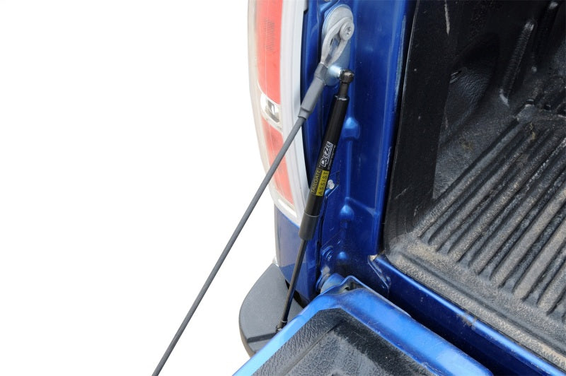 Dee Zee 97-16 Ford F-Series Tailgate Assist Shock
