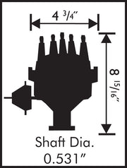 8478_dims19165.jpg