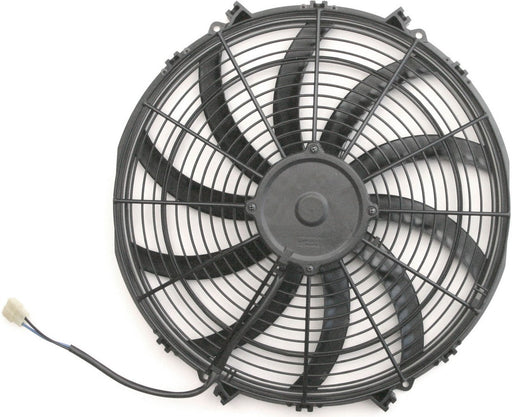 AFC80177.jpg