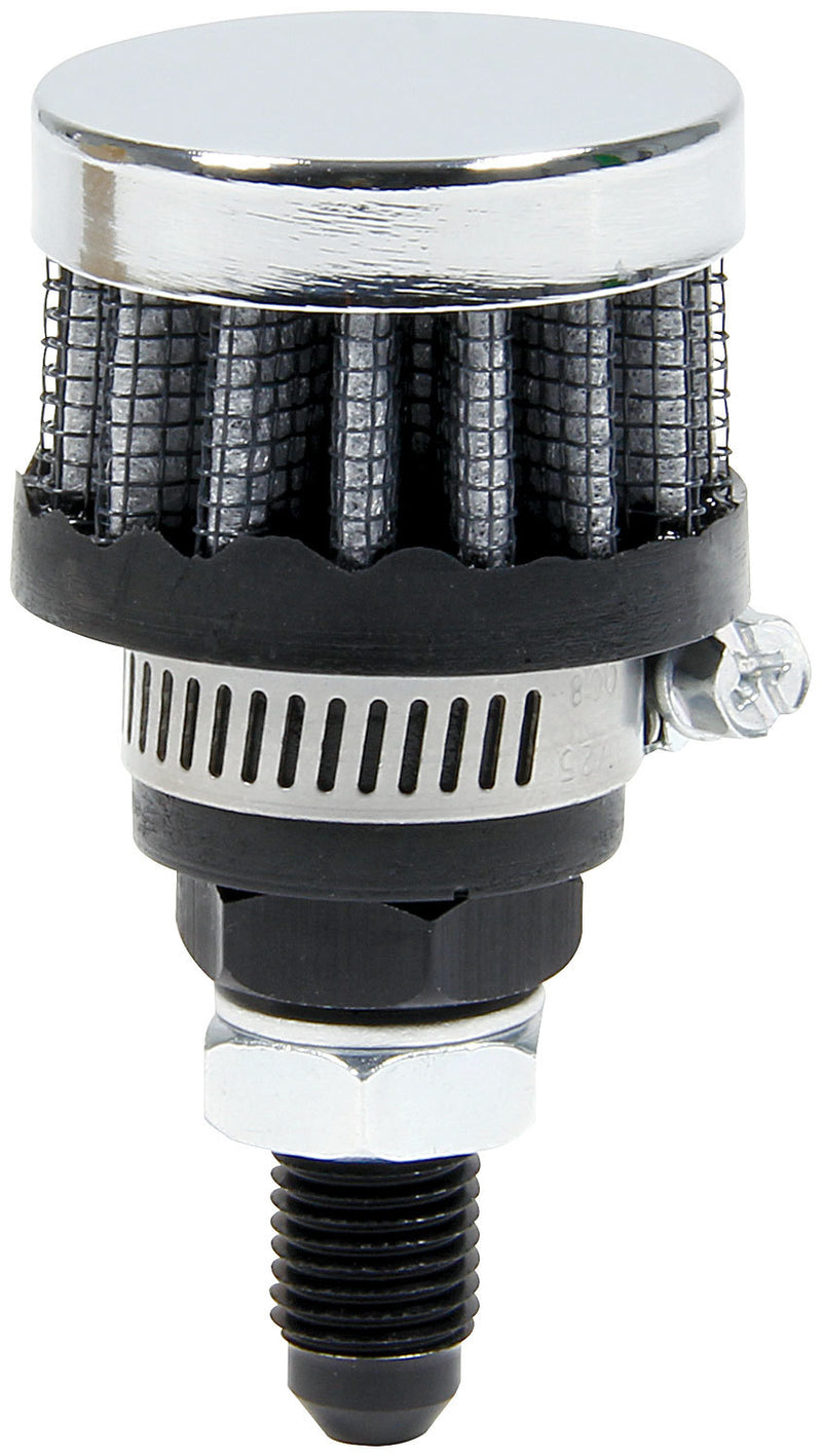 ALL36145.jpg