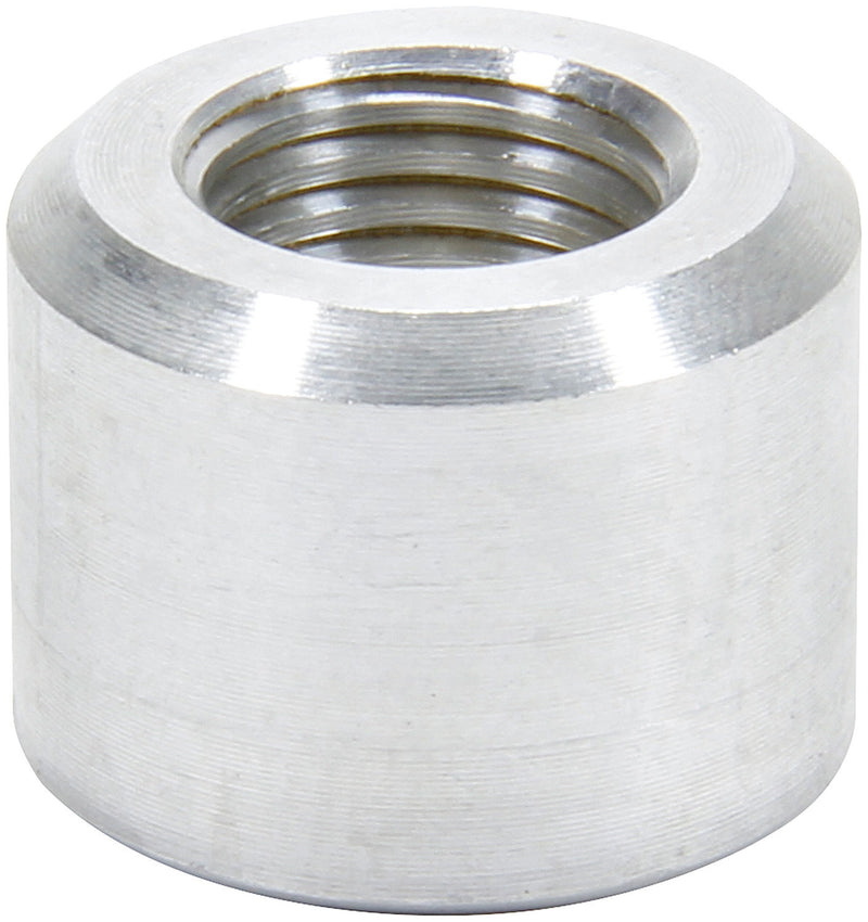 ALL50781.jpg