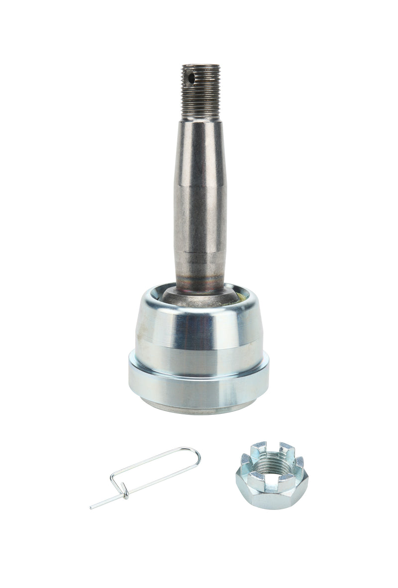 ALL56029.jpg