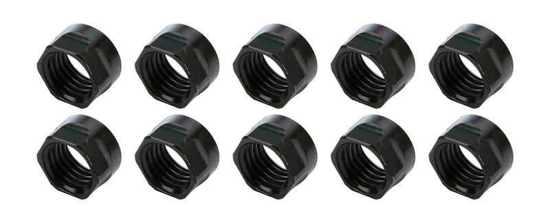 ALL56068-10.jpg