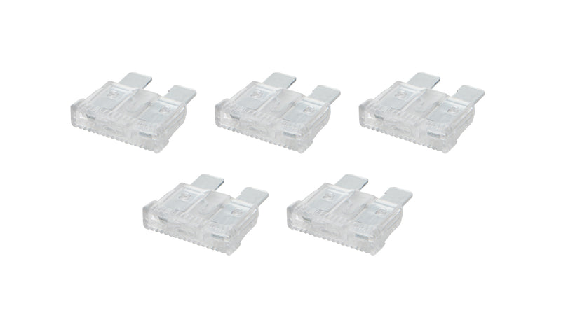 ALL76368.jpg