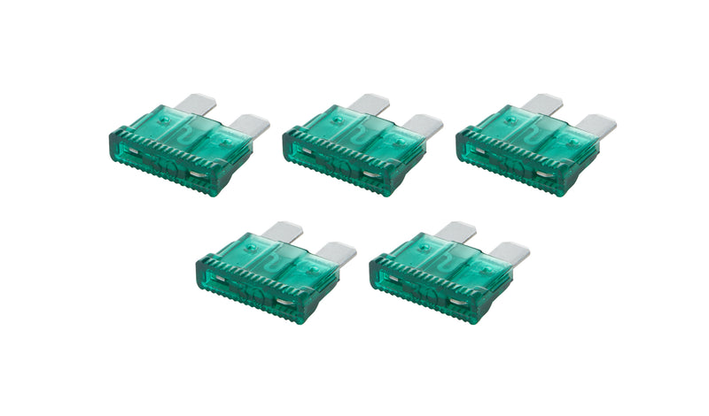 ALL76369.jpg