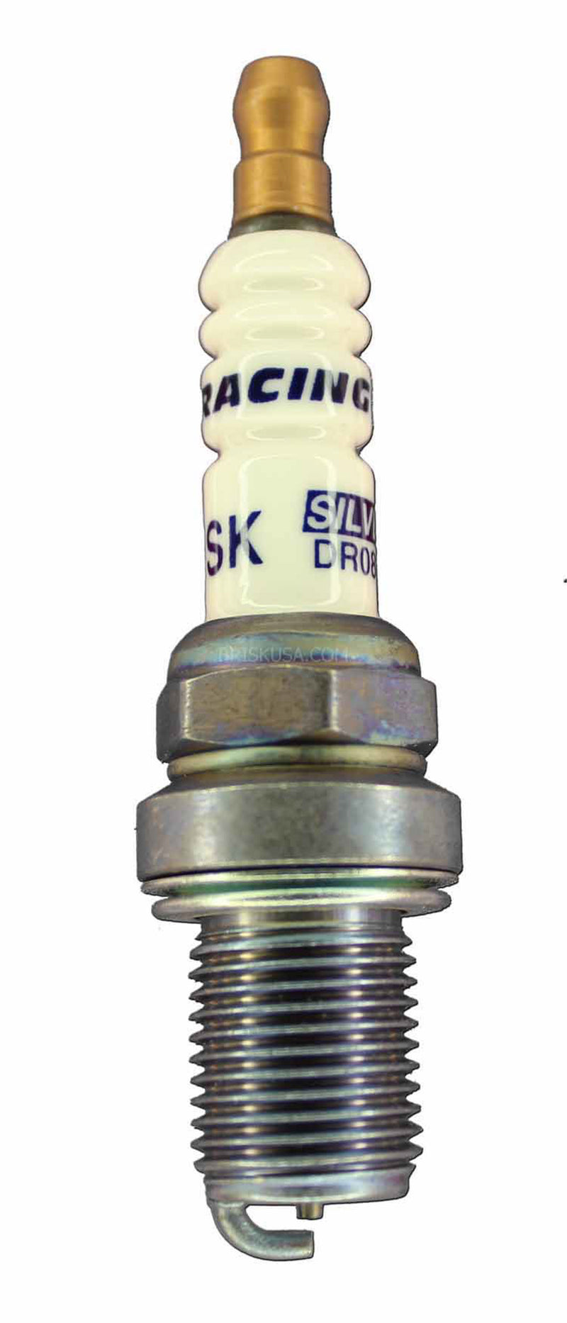 BSKDR08S.jpg