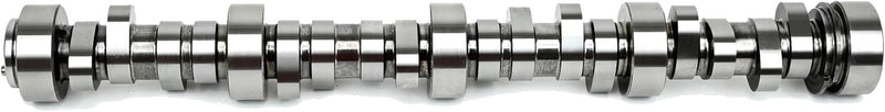 BTRBTR-2240006175.jpg