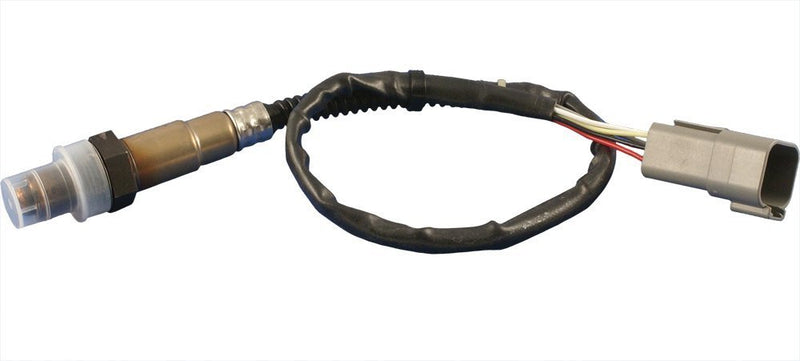Daytona Sensors Wide-Band O2 Sensor