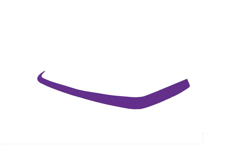 Dominator Race Products Dominator Late Model Valance Cover Purple