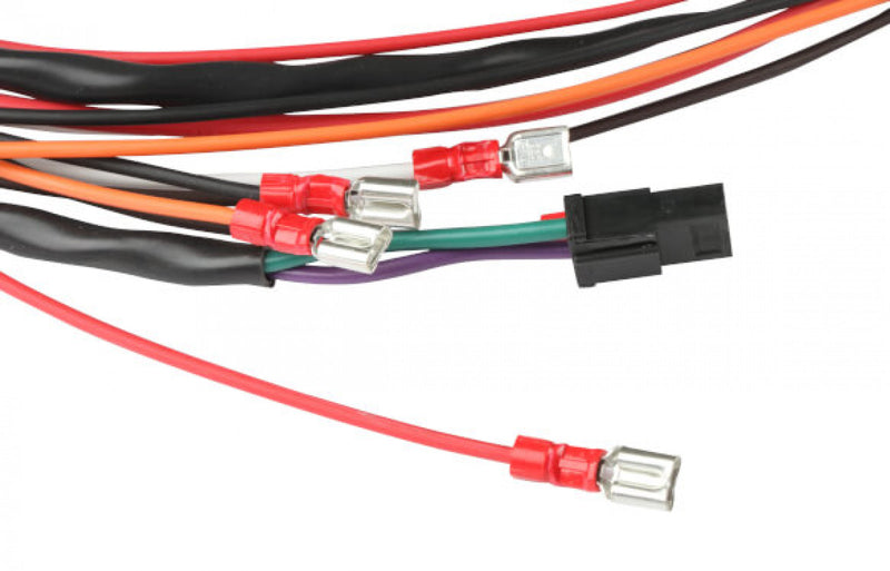MSD 6ALN Ignition Control, DIRT
