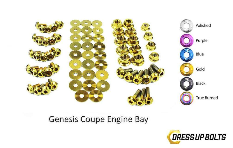 Hyundai Genesis Coupe (2009-2016) BK Titanium Dress Up Bolts Full Engine Bay Kit