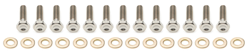 10in Beadlock Bolt Kit Titanium