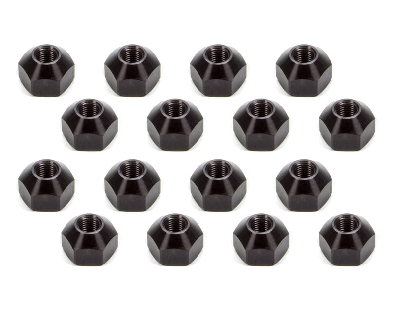 KLU8203.jpg