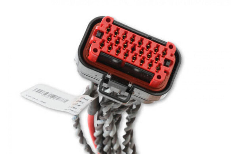 MSD Coil Harness - Pro 600