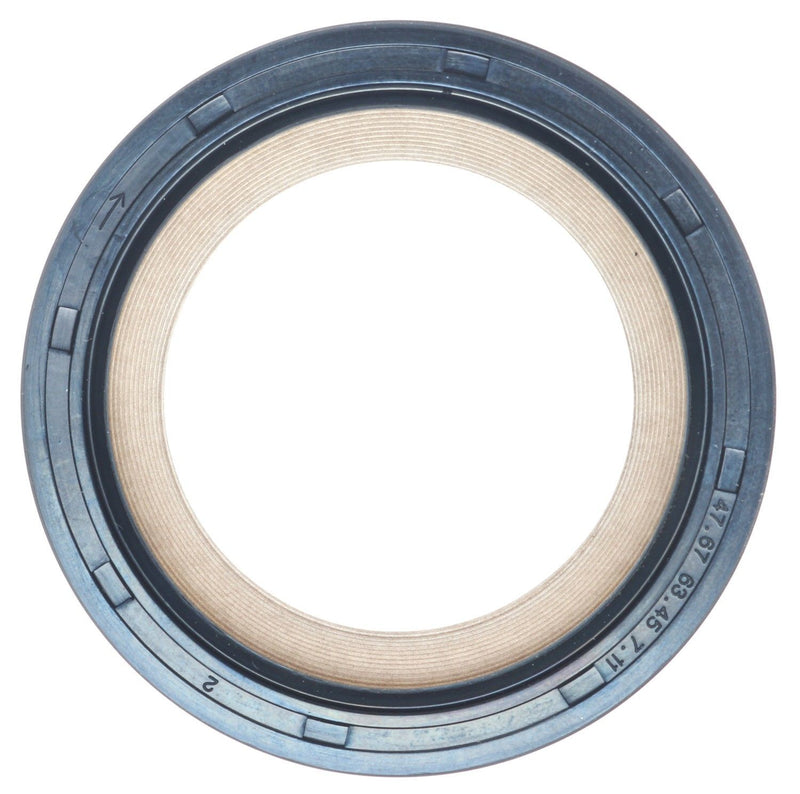 M7768114.jpg