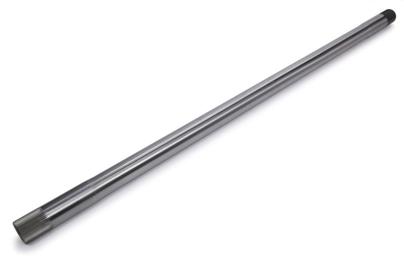 MPD300975-24.jpg