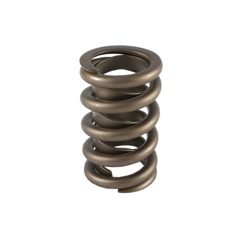 1.260 Single Valve Spring w/Damper (1)