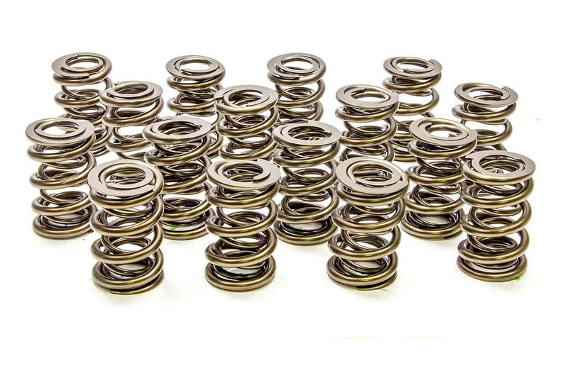1.550 Dual Valve Spring (1)