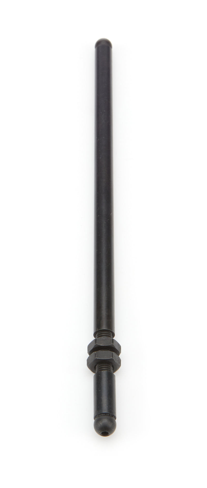 PFM67561.jpg