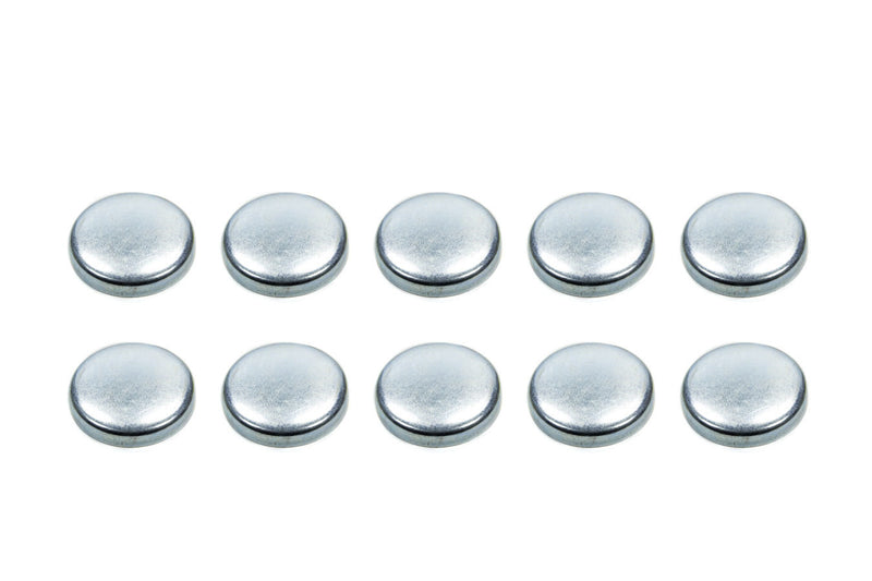 Expansion Plugs - 2-1/2 (10)