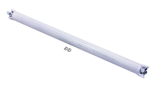 PST310550.jpg