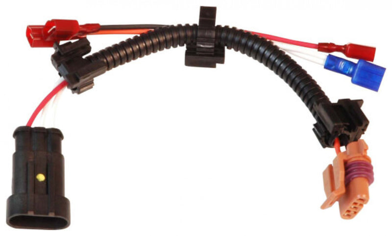 MSD to Late Model 96-On GM Harness