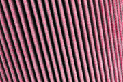RF100015_004.jpg