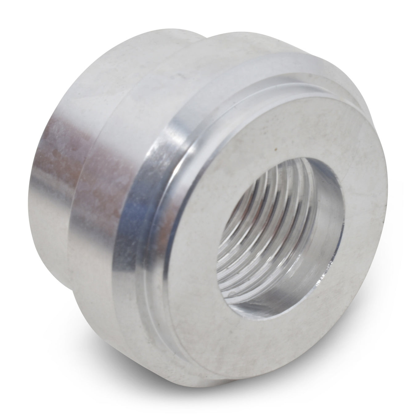 Weld In Bungs and Fittings