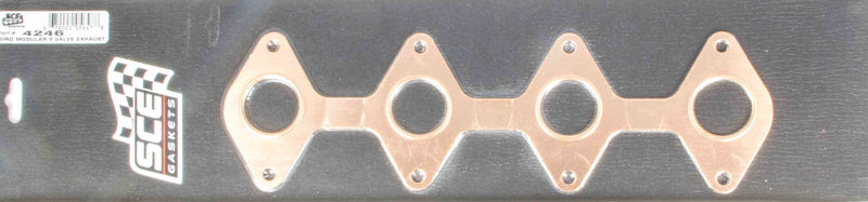 SCE4246.jpg