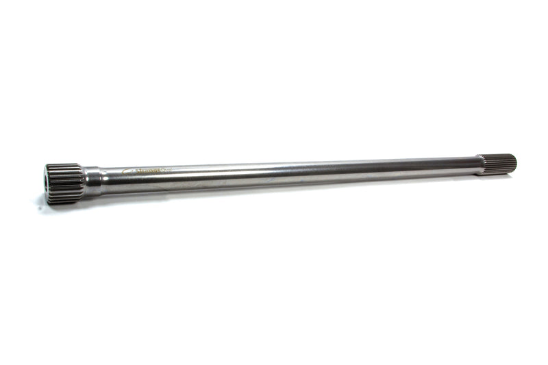 SOTAGY11303450.jpg
