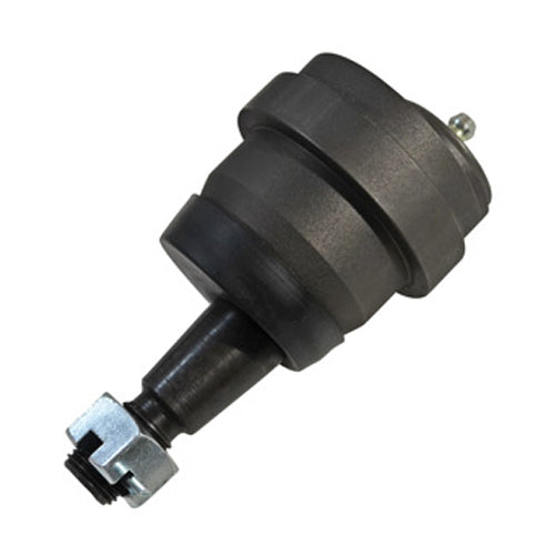SPP23530.jpg