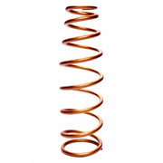 SWI200-2550-100BP.jpg