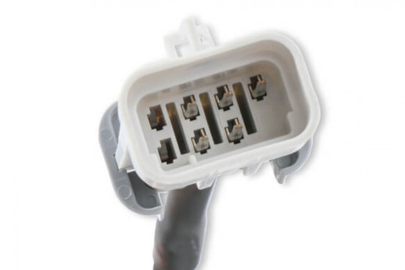 MSD EFI And LS Harness - Pro 600