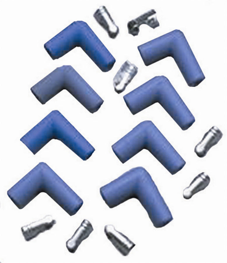 TAY46061.jpg