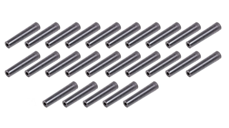 TAY46203.jpg