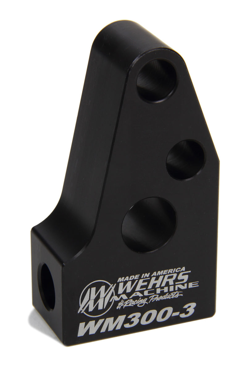 WEHWM300-3.jpg