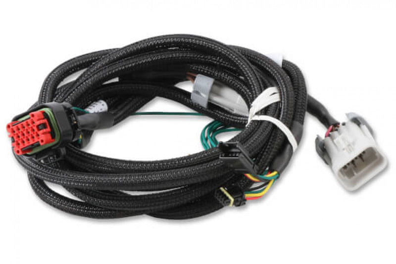 MSD EFI And LS Harness - Pro 600