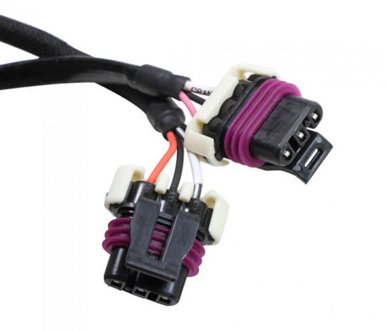 MSD 6LS Ignition Adapter Harness