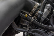 Cold Air Intake Kit | 5.0L | Ford  F-150 2WD/4WD (2021-2025)