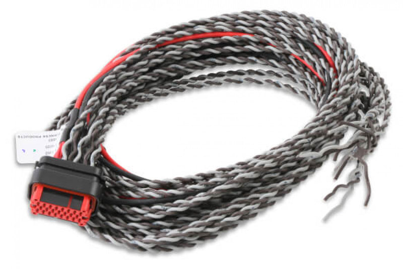 MSD Coil Harness - Pro 600