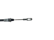 Photo - Close Up