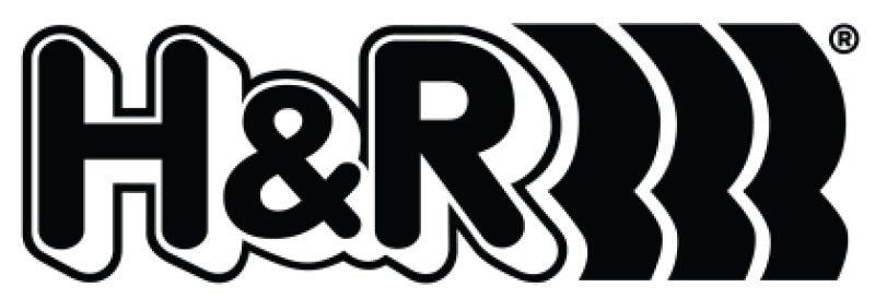 H&R 09-17 Volkswagen CC VR6 Replacement Front Spring (For 36258-5) - Single