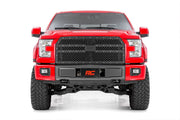 Mesh Grille | Ford F-150 2WD/4WD (2015-2017)