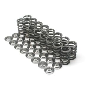 Brian Crower Nissan TB48 Single Spring & Titanium Retainer Kit