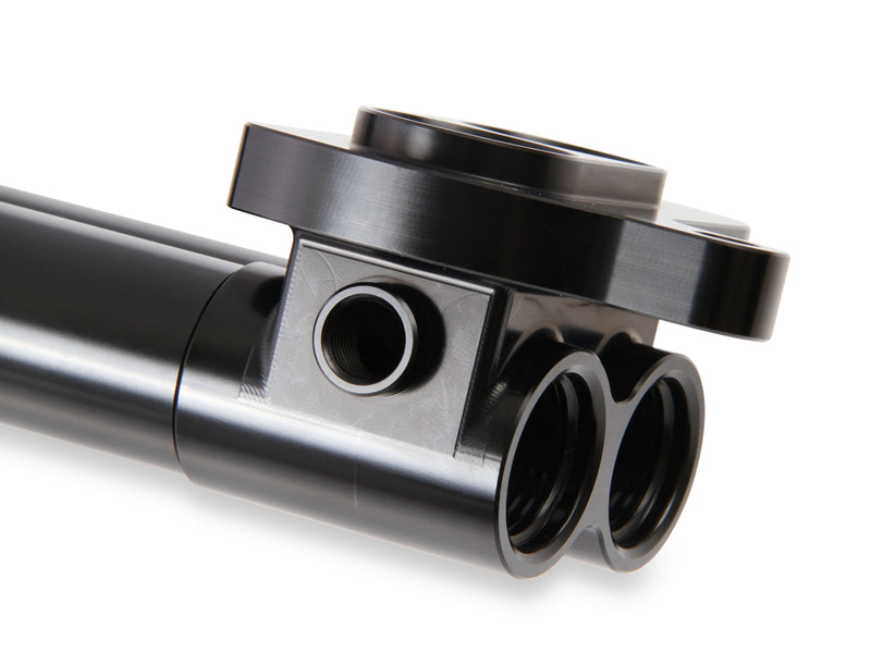 hemi0005erl_02.jpg